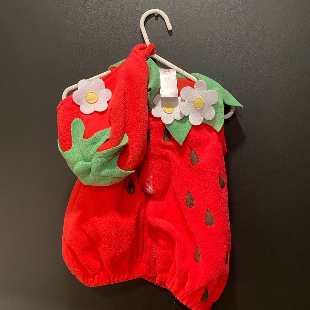 Strawberry Costume